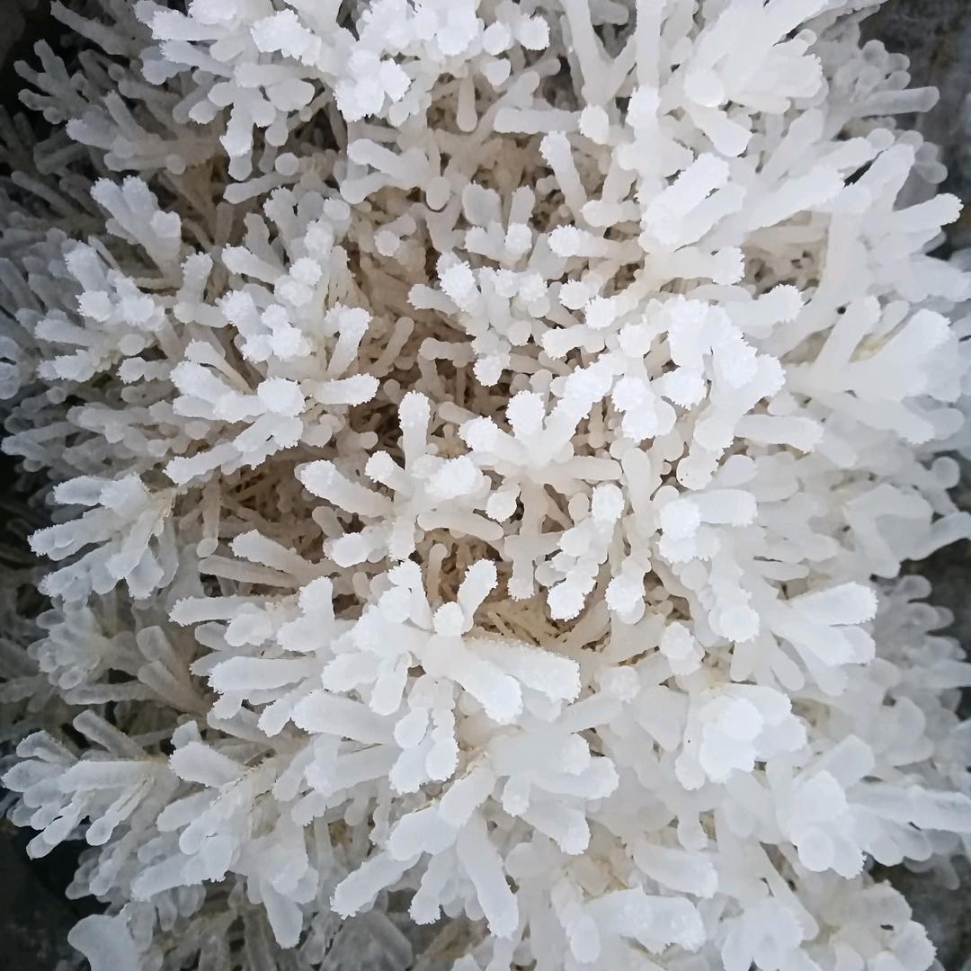 龍行天下。