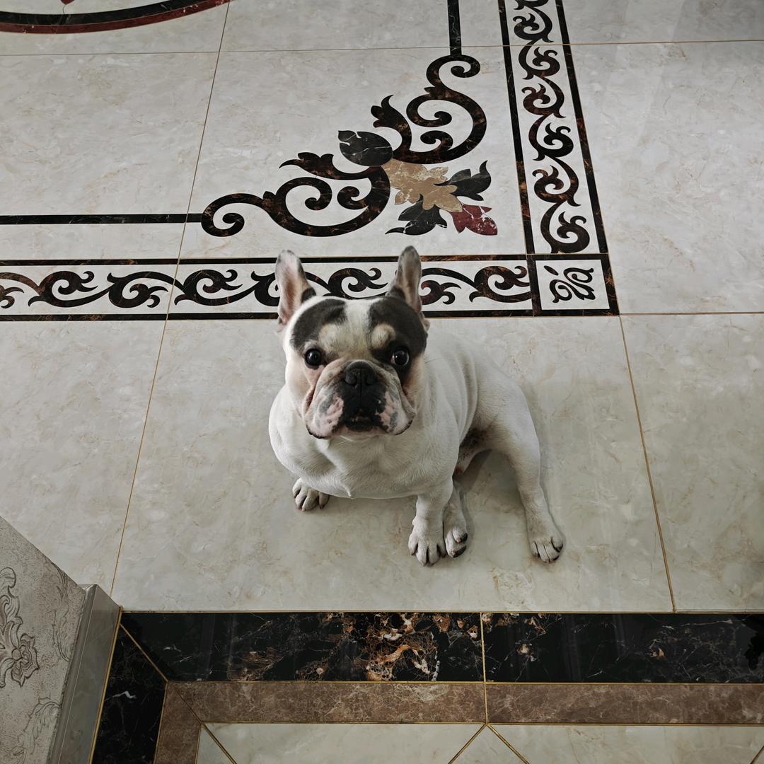 奇瑞风云汽车-陈吉