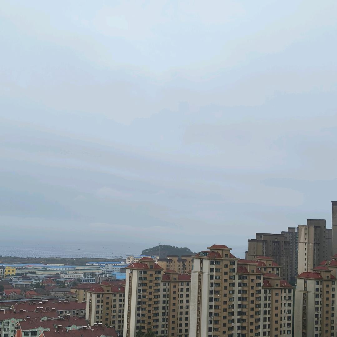 随心