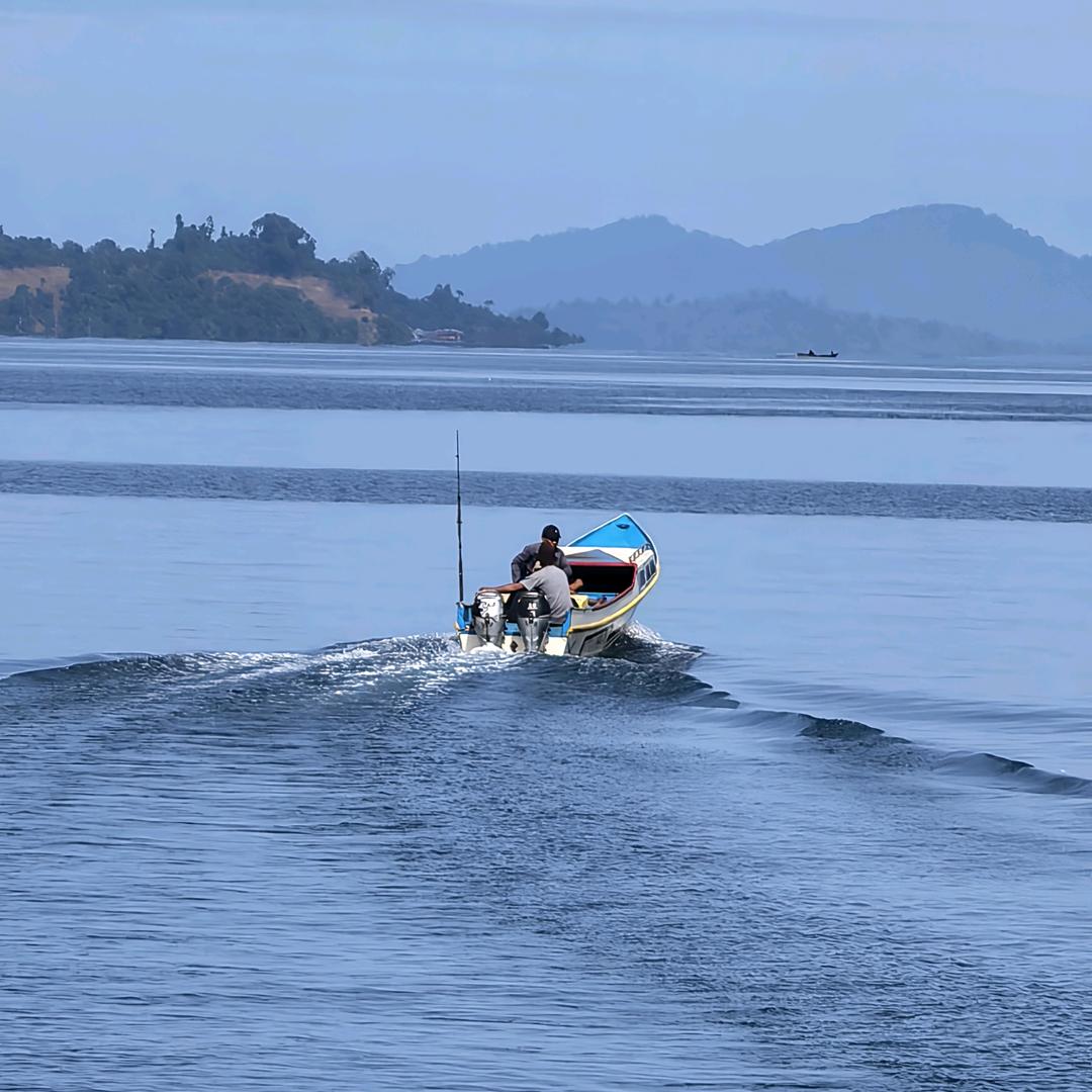 熊大爱吃汉堡包🍔