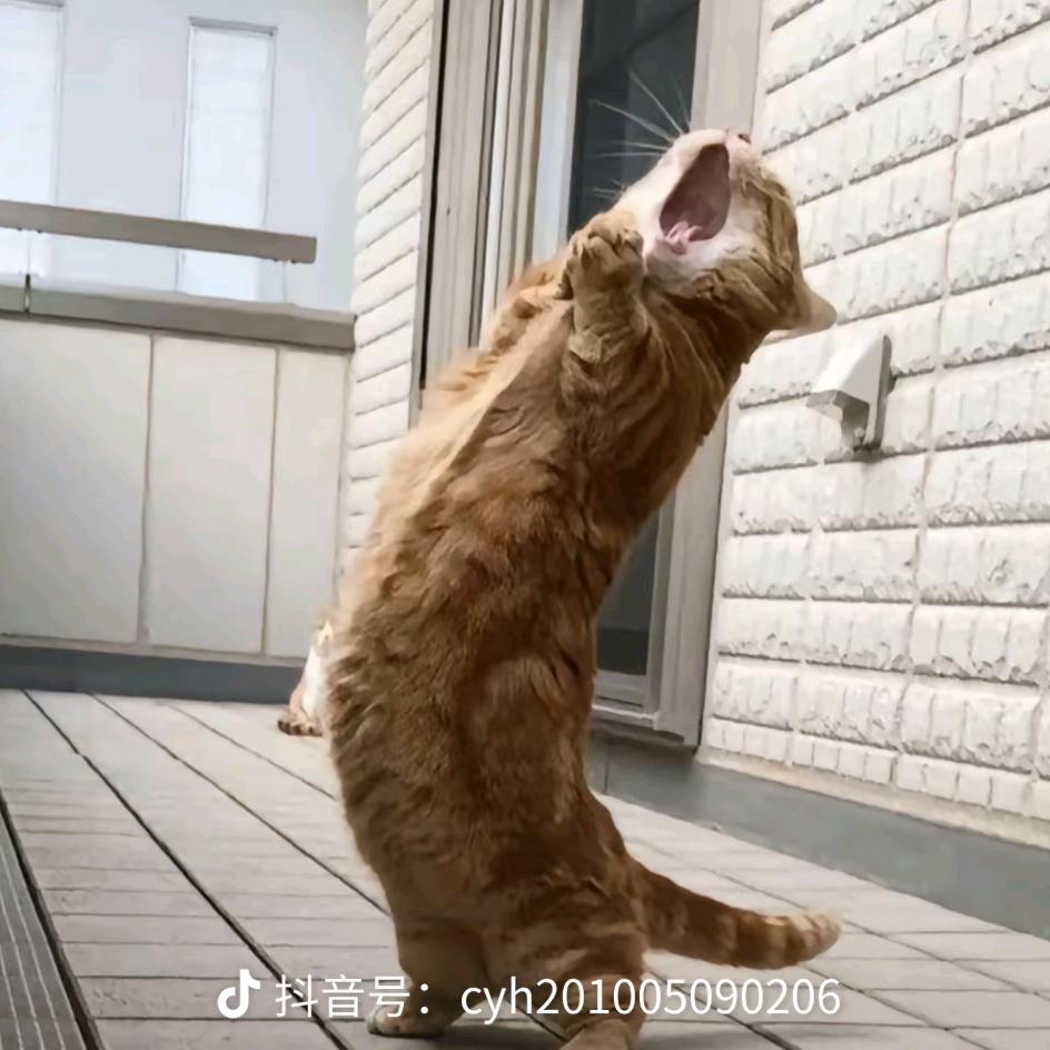时