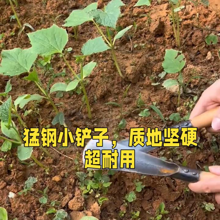 优选工具