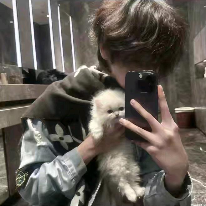 青春猪头少年不会梦到酸粉学姐