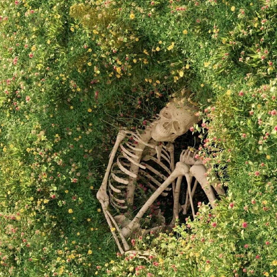 HH