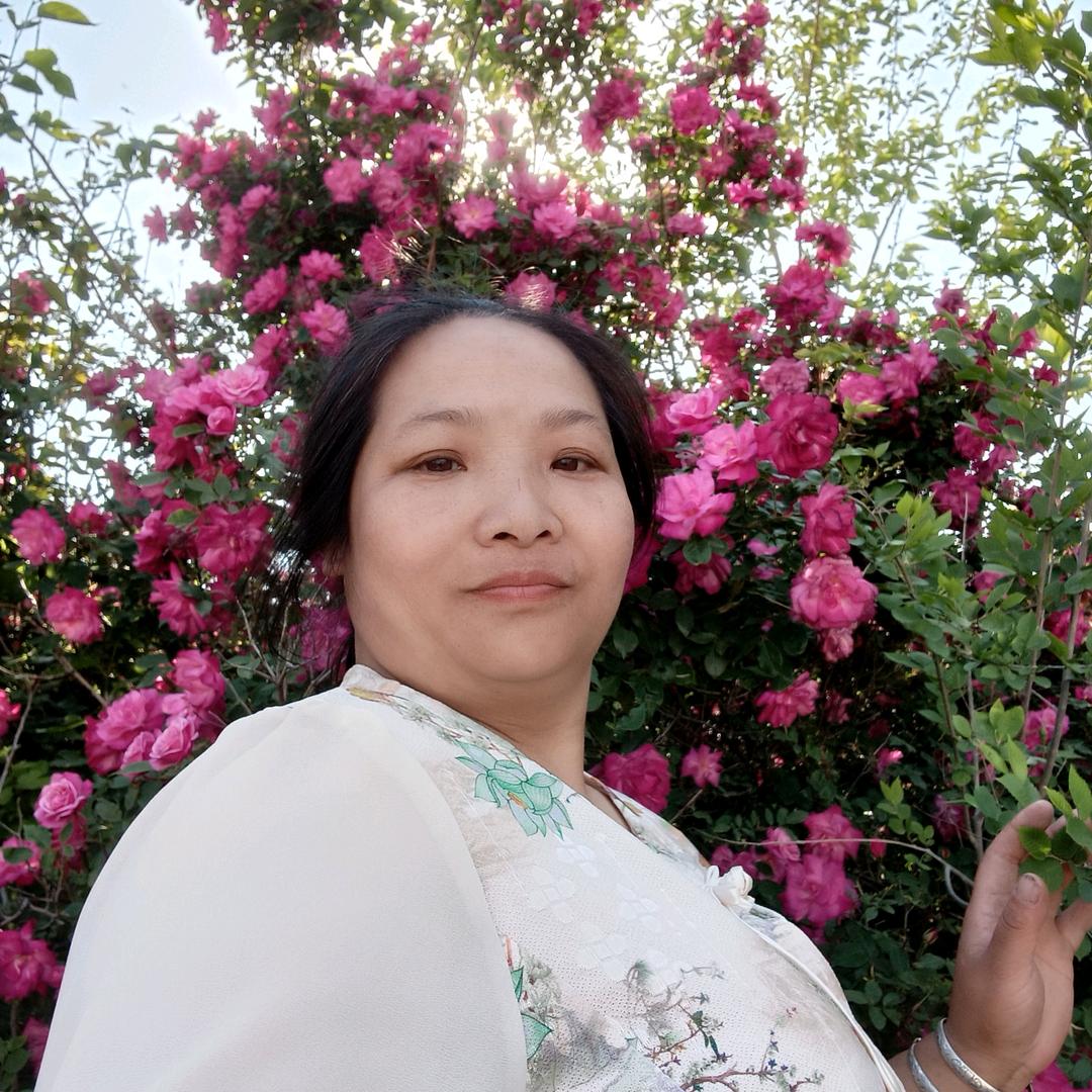 彭菊华6688
