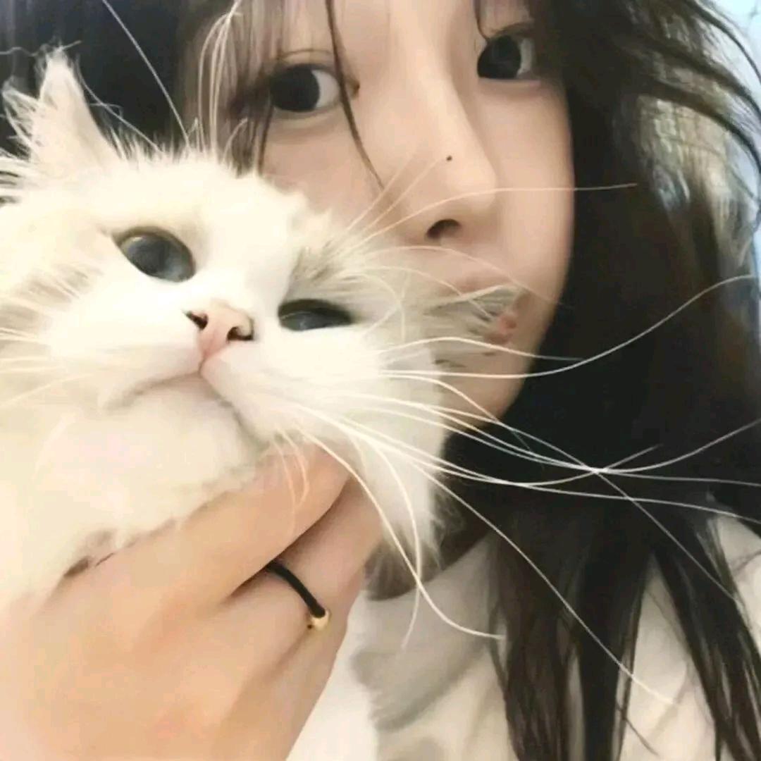 江屿淮