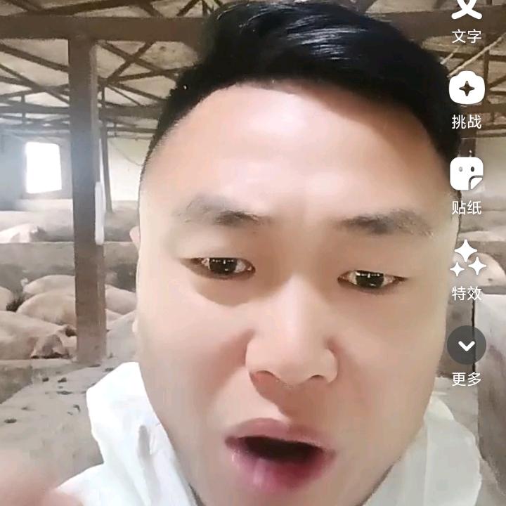 猪价分析，三疯哥