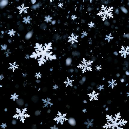 𝐒𝐢𝐦𝐩𝐥𝐞🖇^