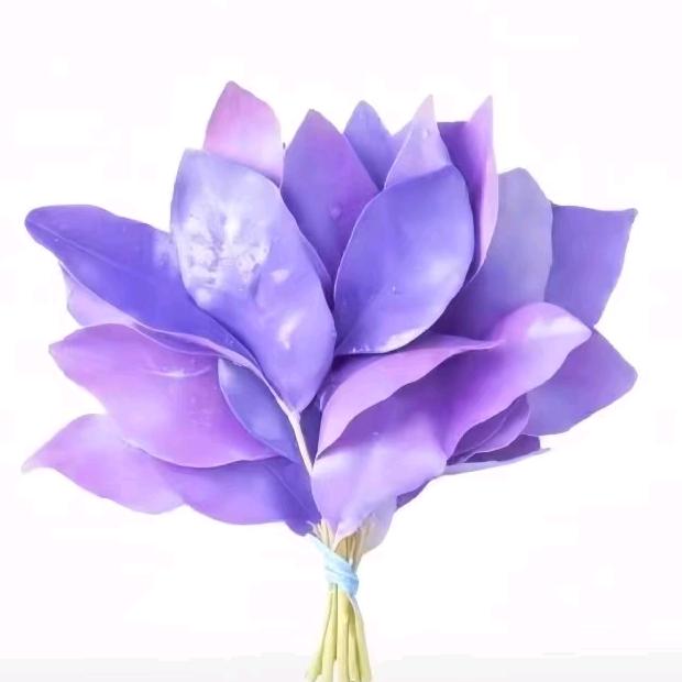 交响乐不吃咸鱼🐟