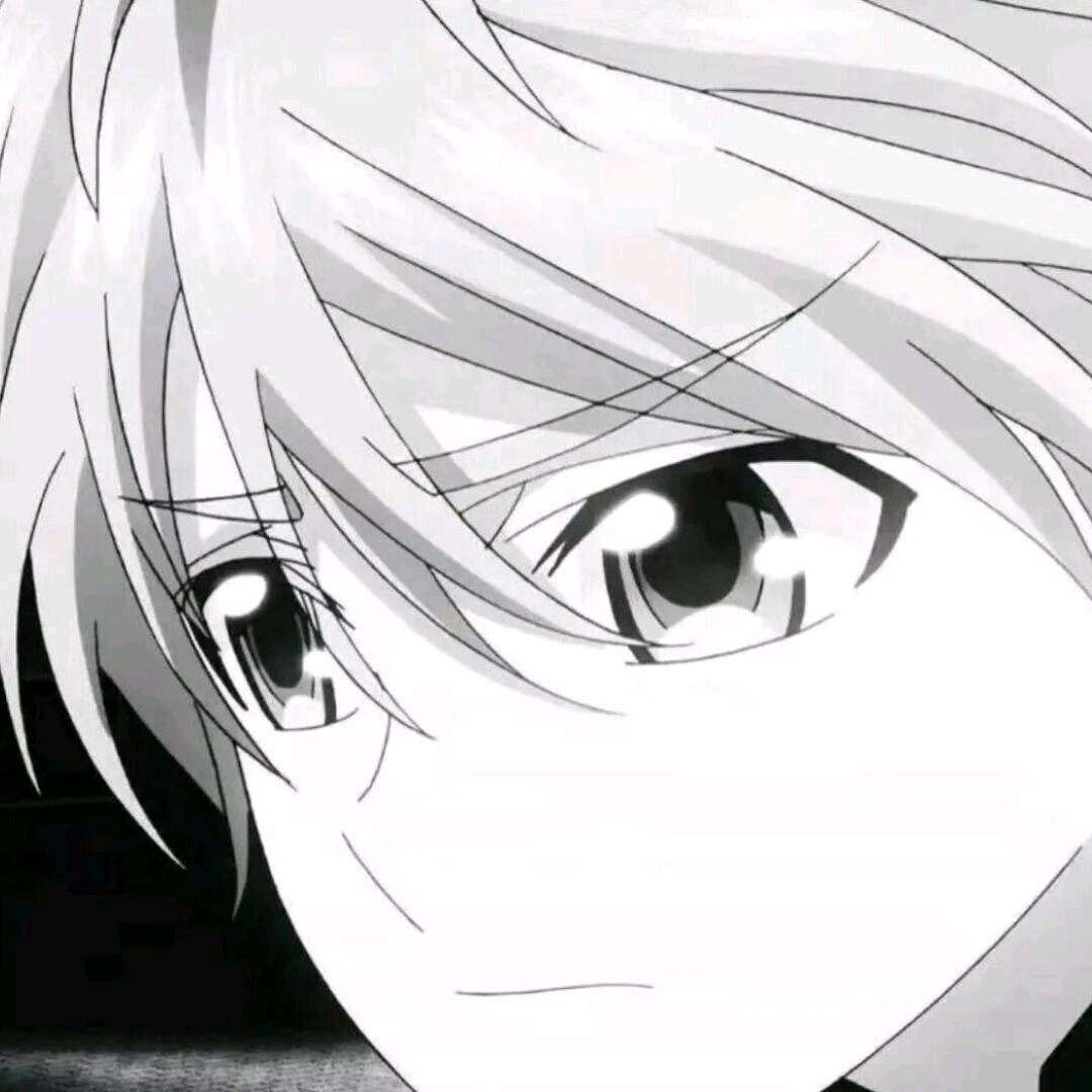 YLeo