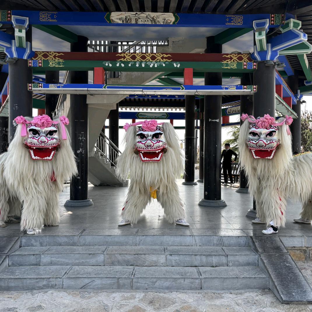 山东聊城小白狮舞狮团总团（全国接单）