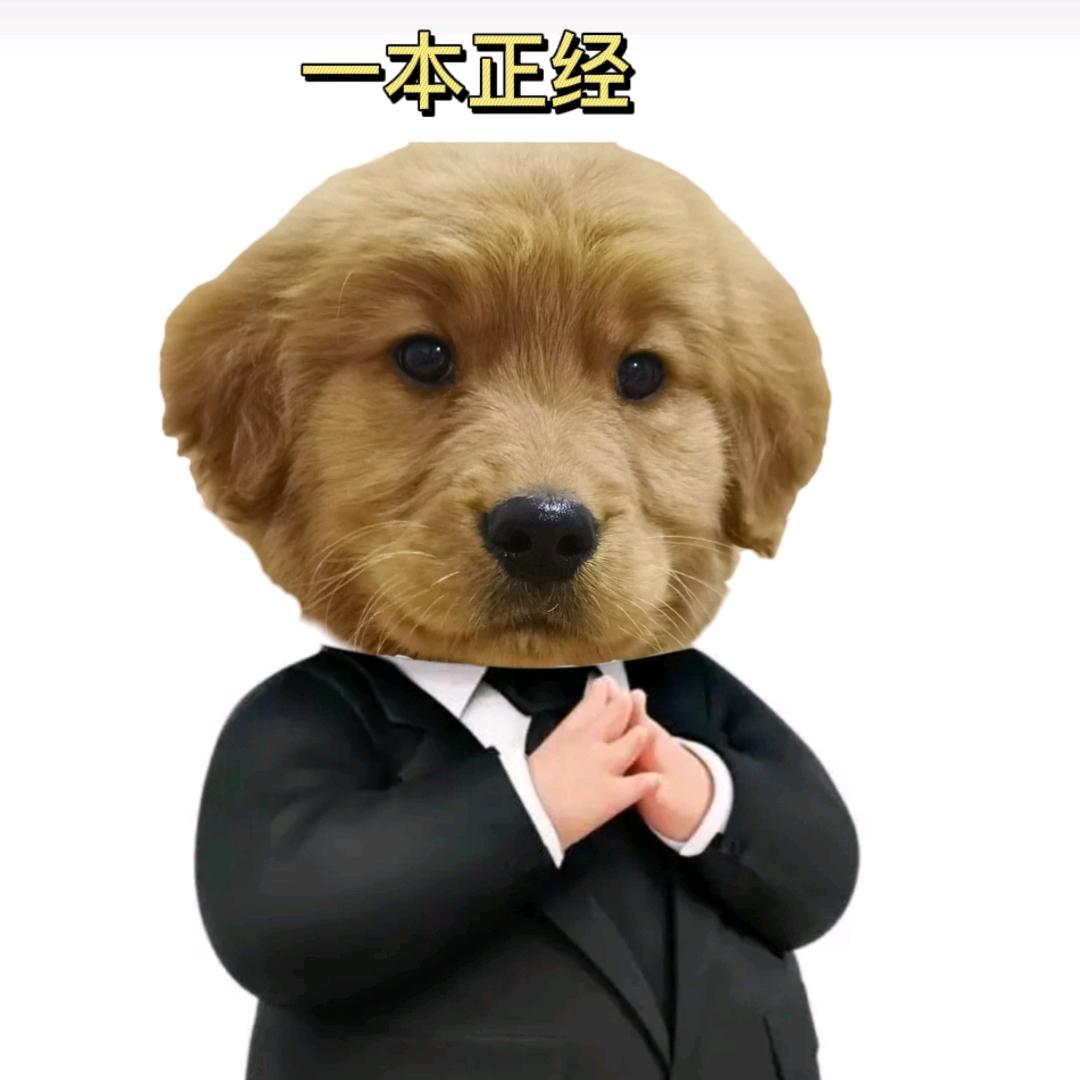 卡卡有个小卖部