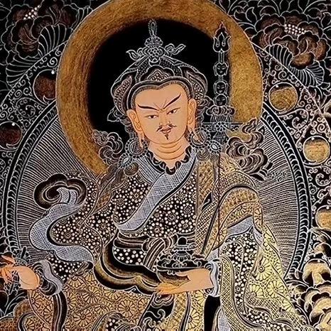 不死鸟🕊️