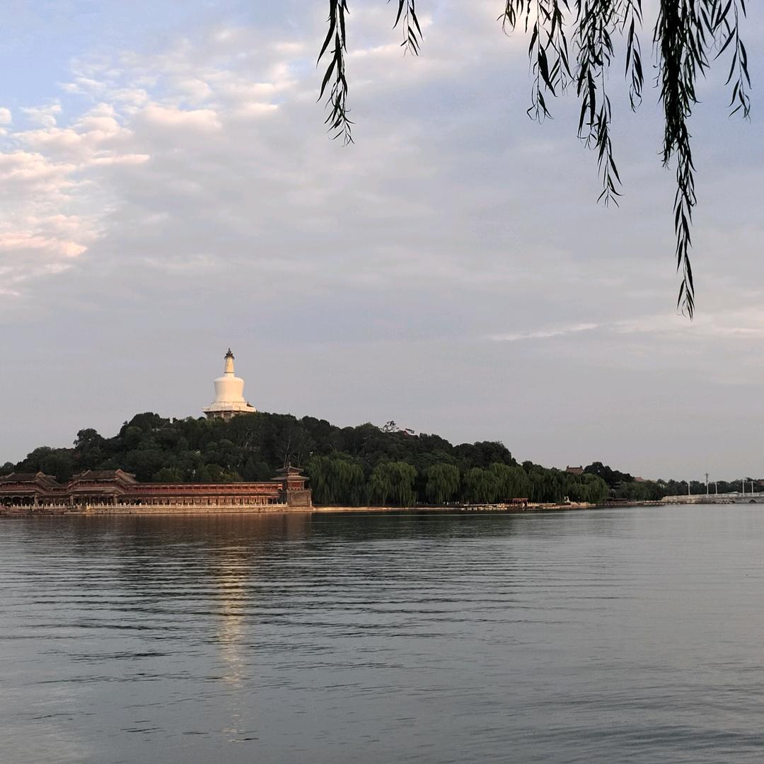 流浪的鱼