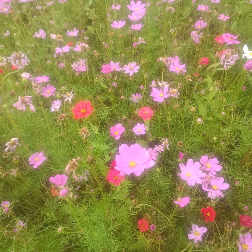 雨后彩虹