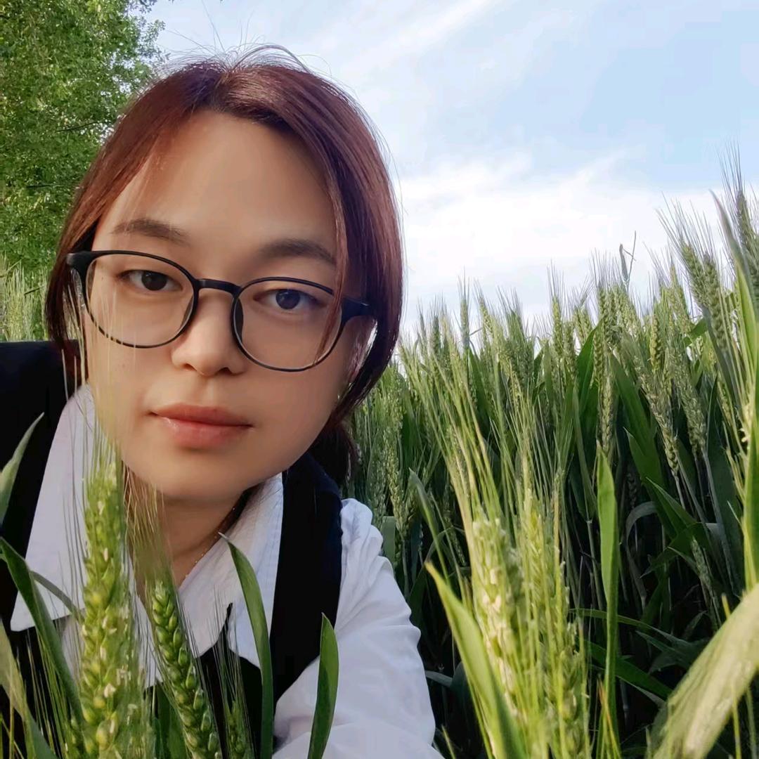 齐齐妈（复播筹备）