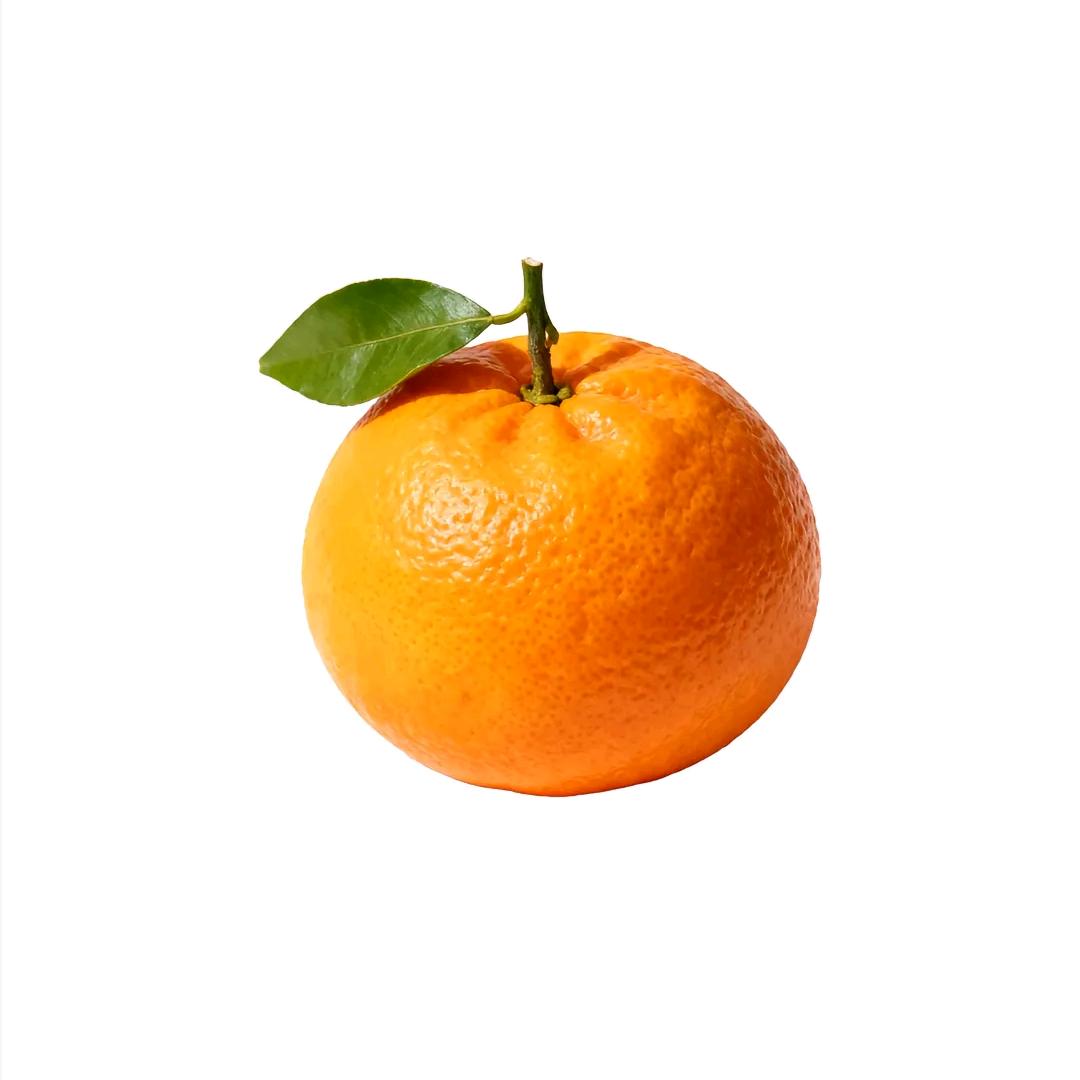 橙子你个奥润吉