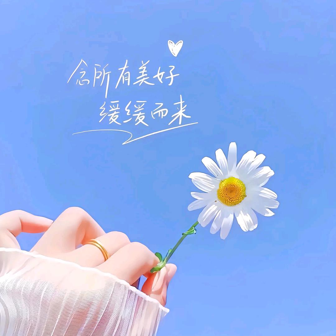 焱焱精品服装店