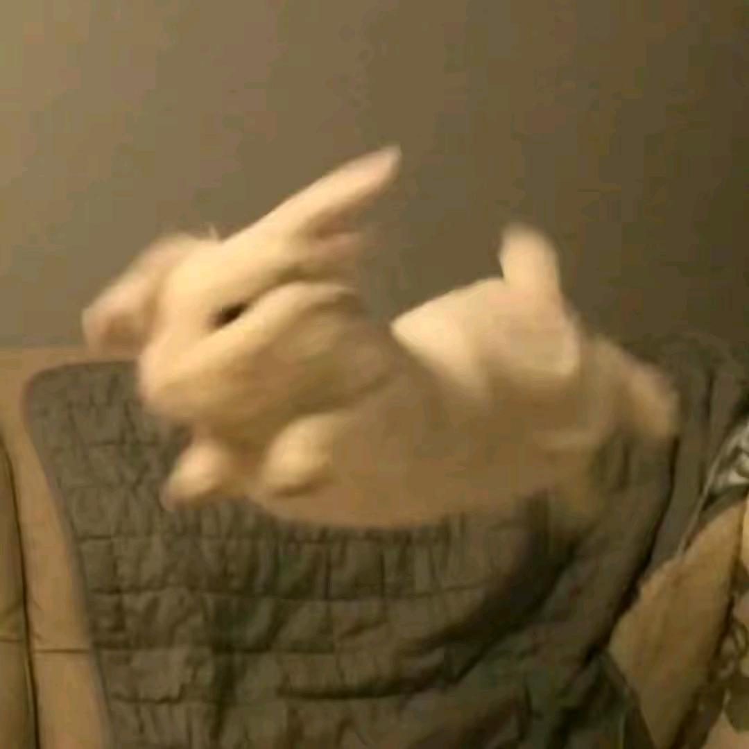 啊里嘎多美羊羊桑🍟