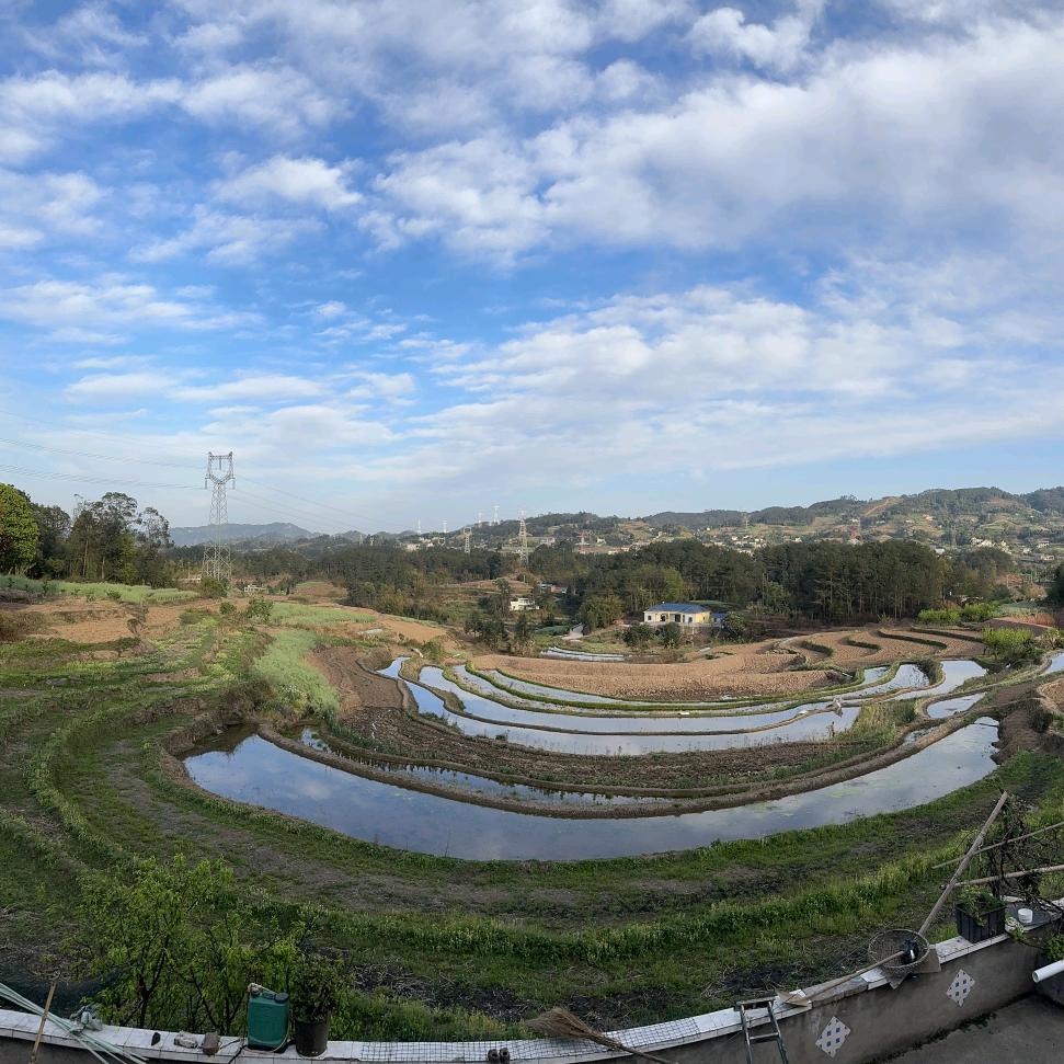 谢三三