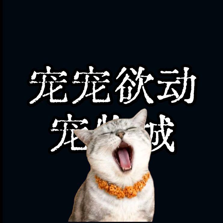 宠宠欲动.宠物城