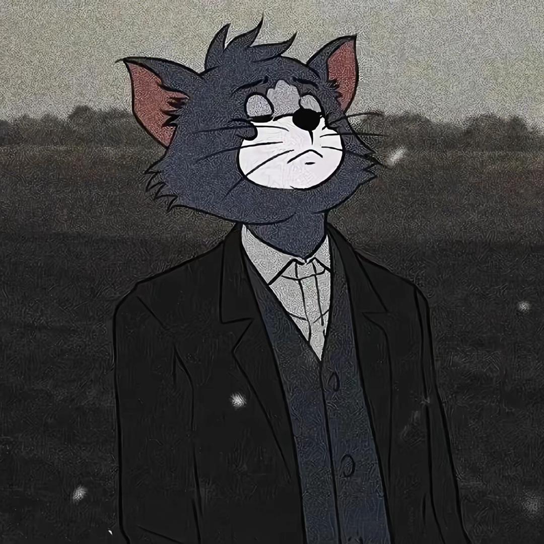 冷调猫的独白