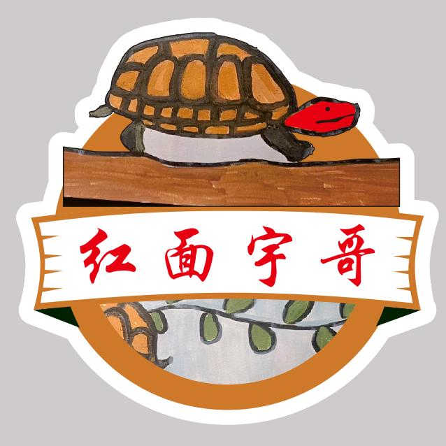 红面宇哥