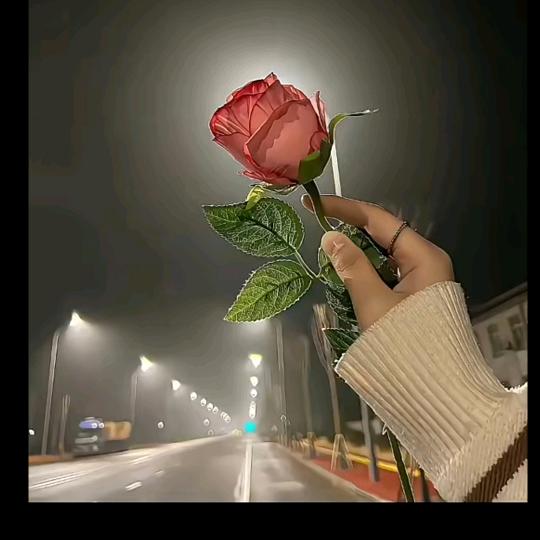 🦋ℒᎭℯ⃝泡🌸沫🌼🍓