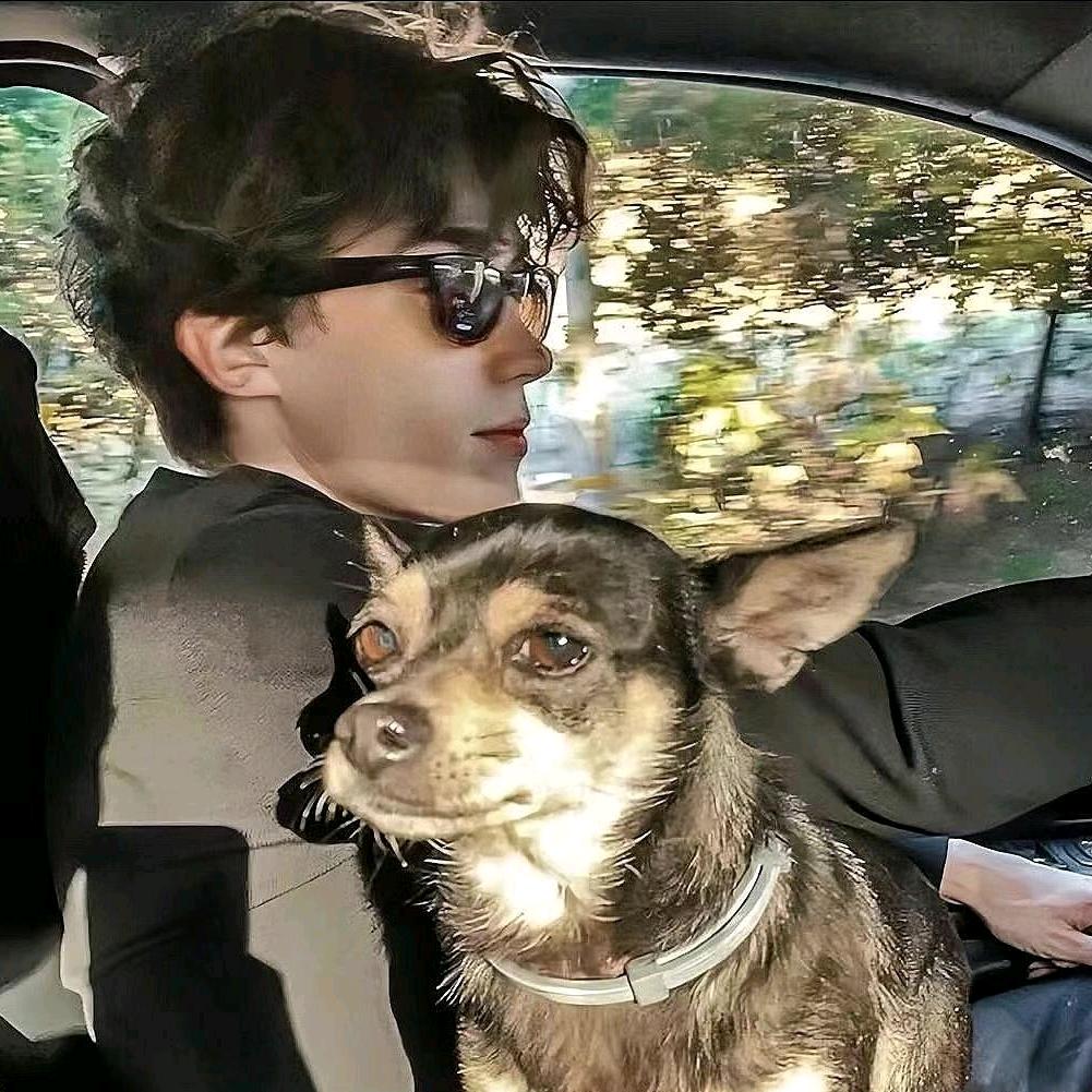 无敌（实际上不无敌）