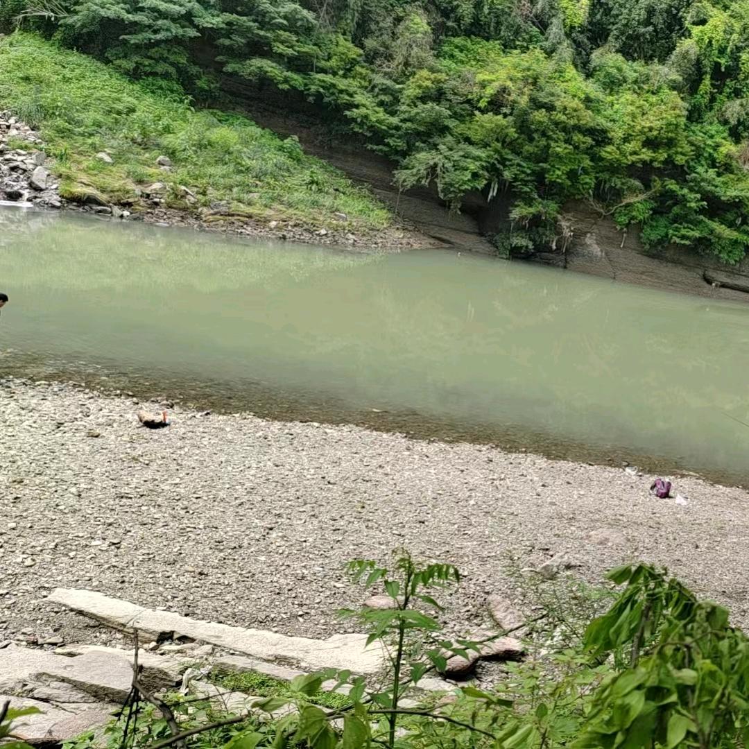 有点