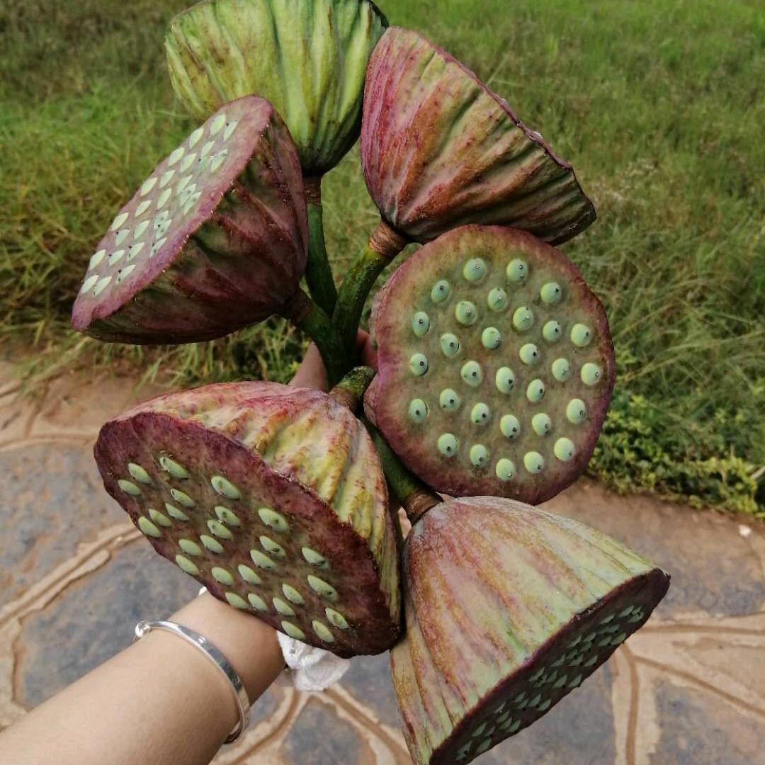 心若阳光