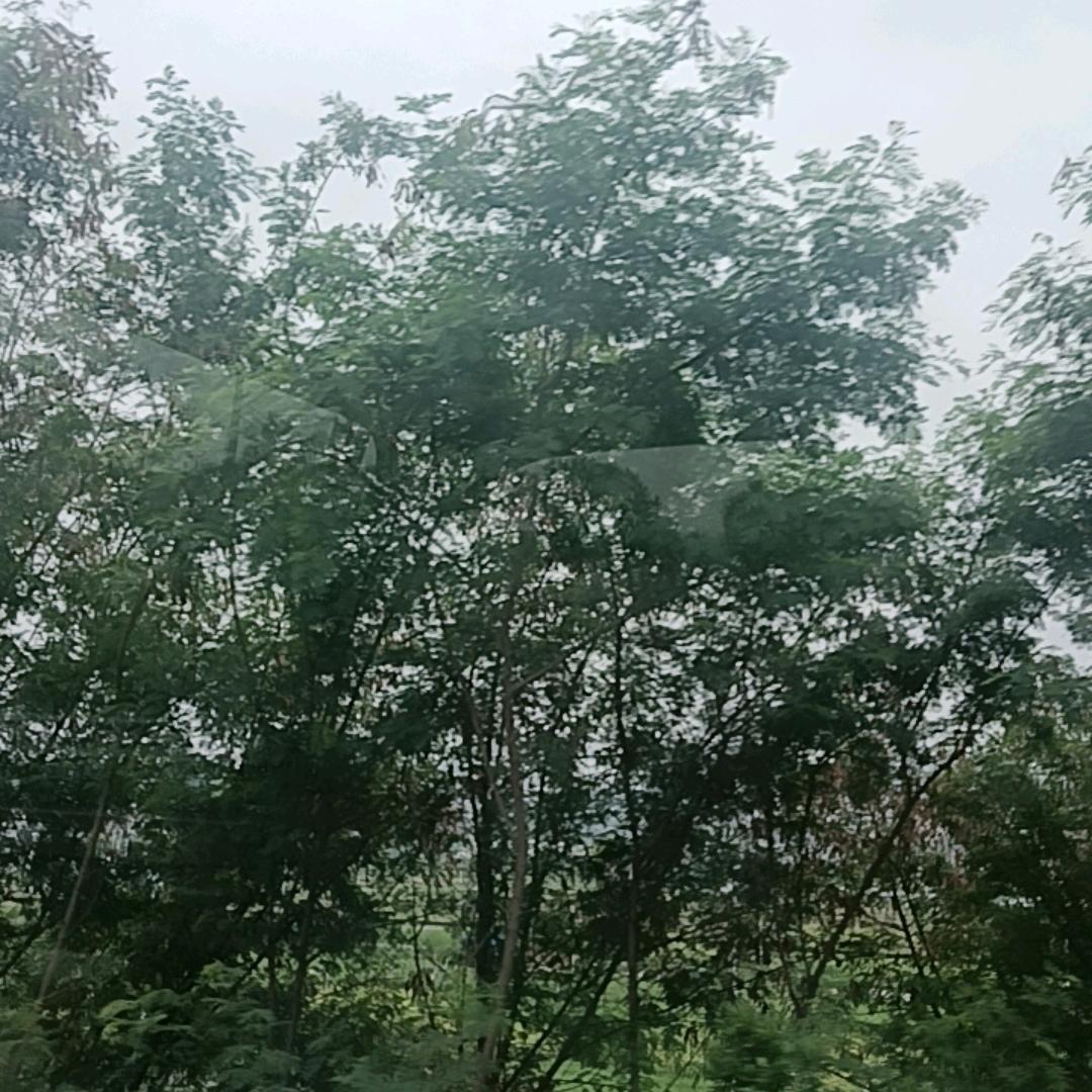范好