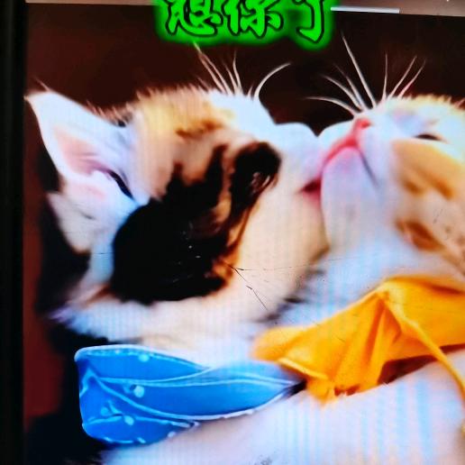 温暖!!!