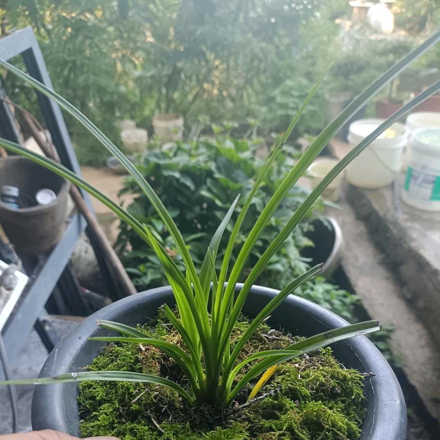 ღ᭄ꦿ余生꧔ꦿএ᭄随心