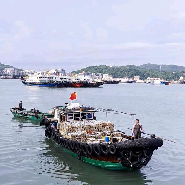 渔鲜直达