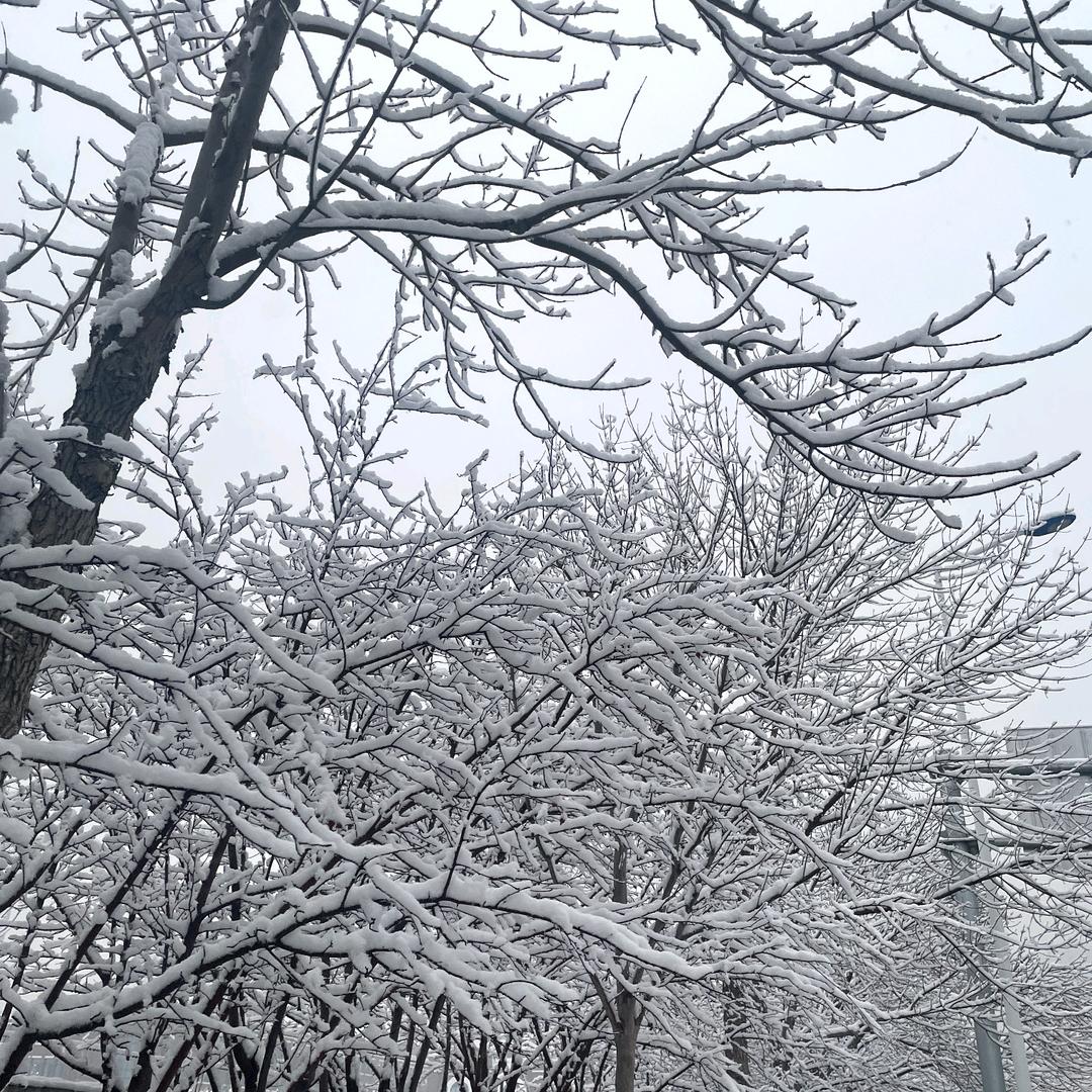 平平淡淡从从容容