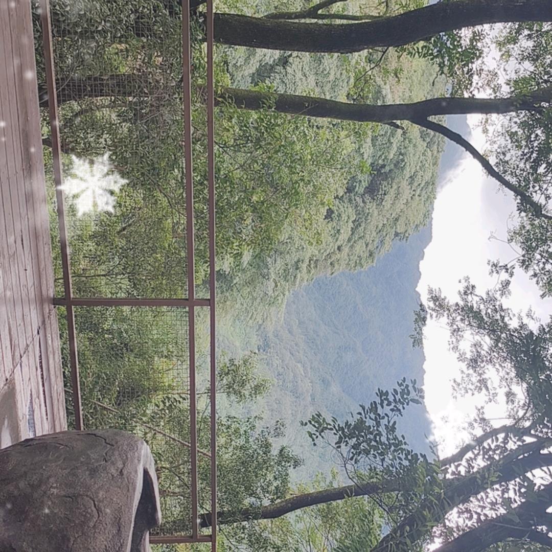 自然崇拜,一站服务