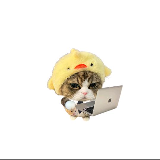 今天mo你打赢了吗