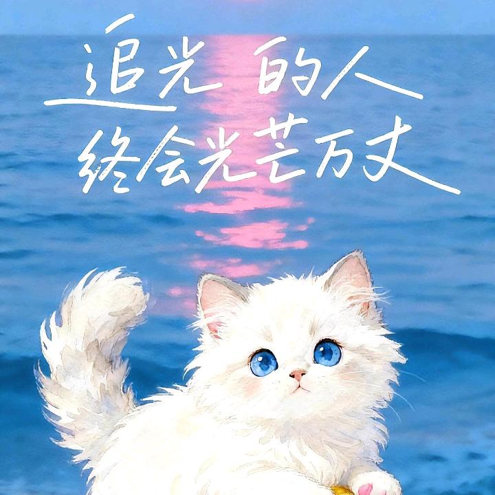 思涵设计