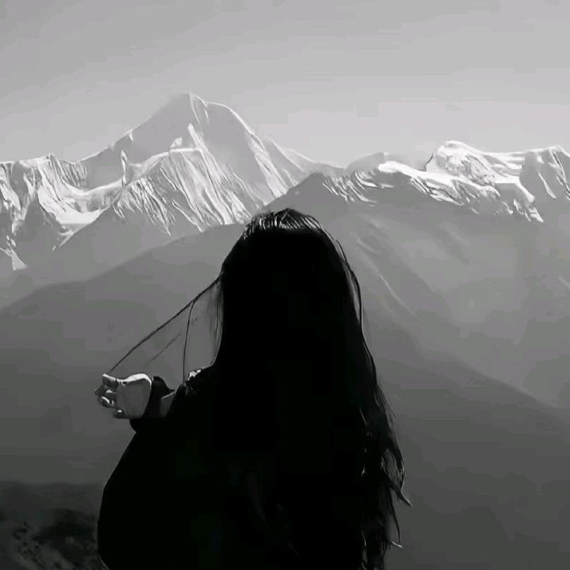 糖怼怼