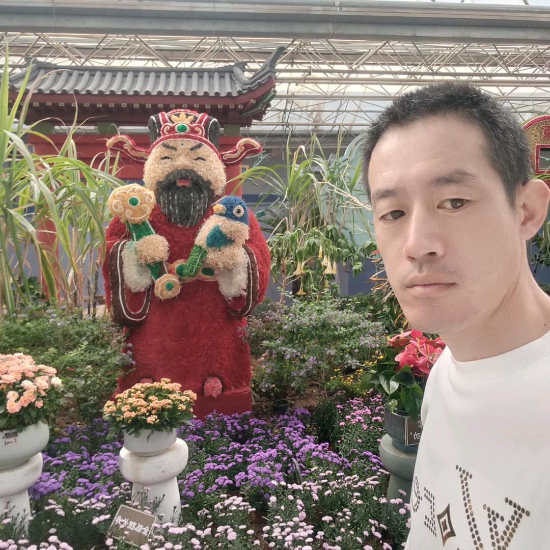 🌹玫瑰之约💐《尘客》1218