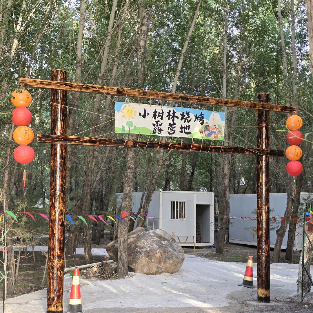小树林烧烤露营地