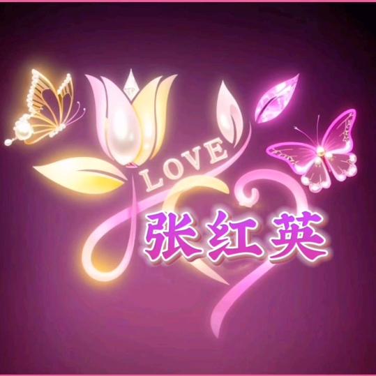 💞꧔ꦿ᭄张鱼小王子🦋꧔ꦿ᭄💞