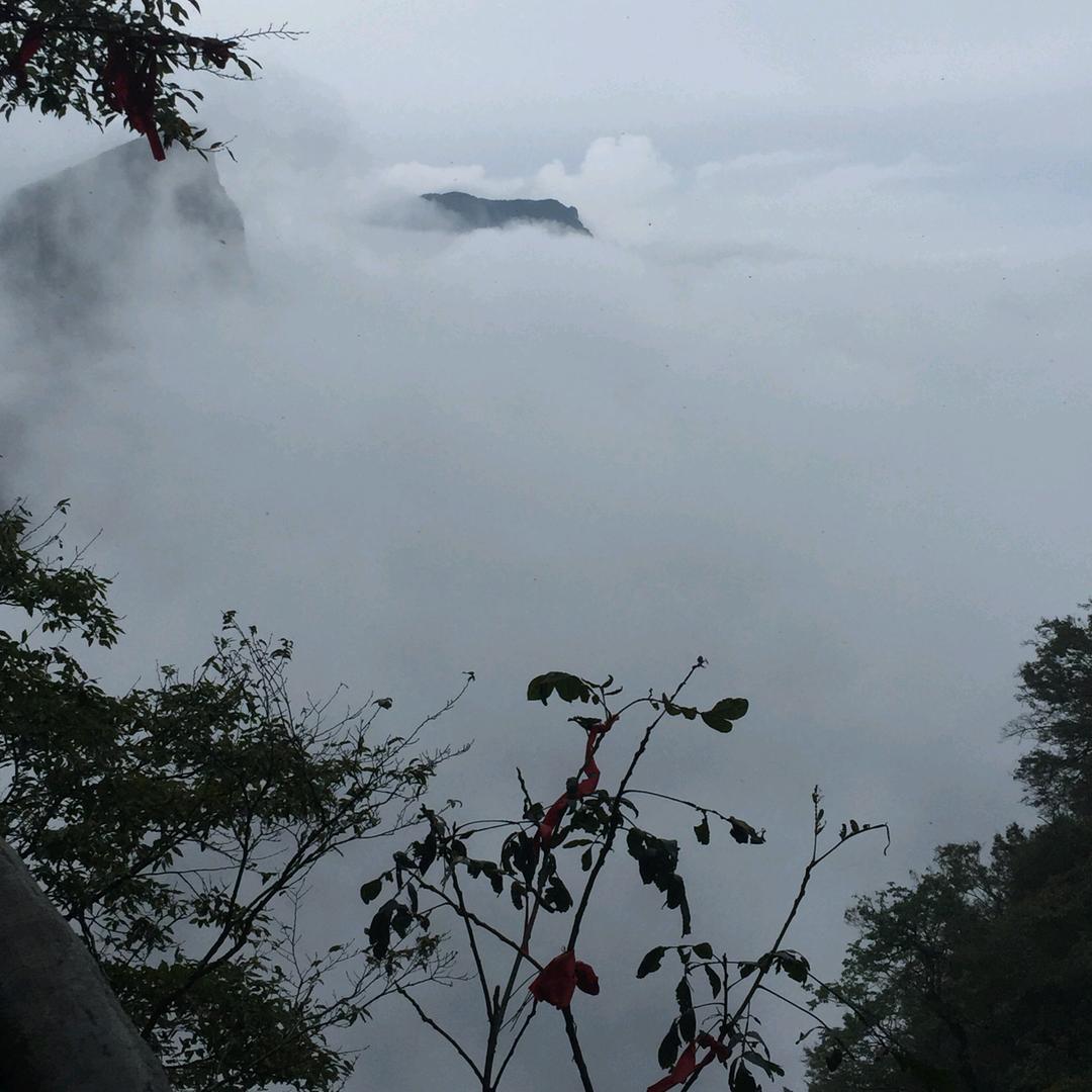 💞周家有王໑ຼ₀₂₅💕