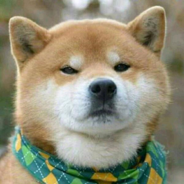 洪运当头♪