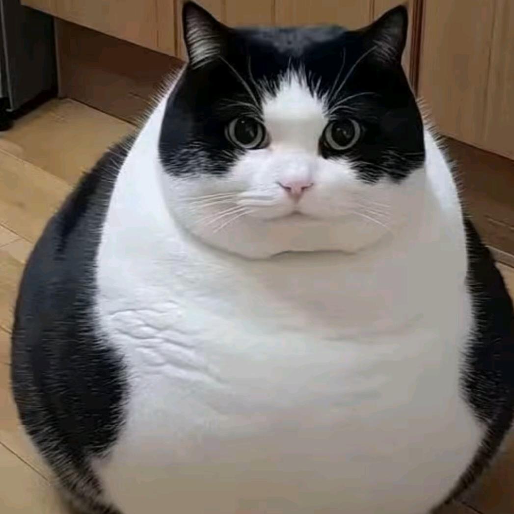 王者荣耀凛冬(国服鲁班大师)