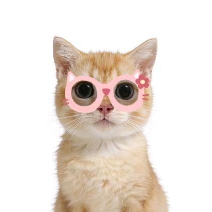 下次一定吃自助烤肉