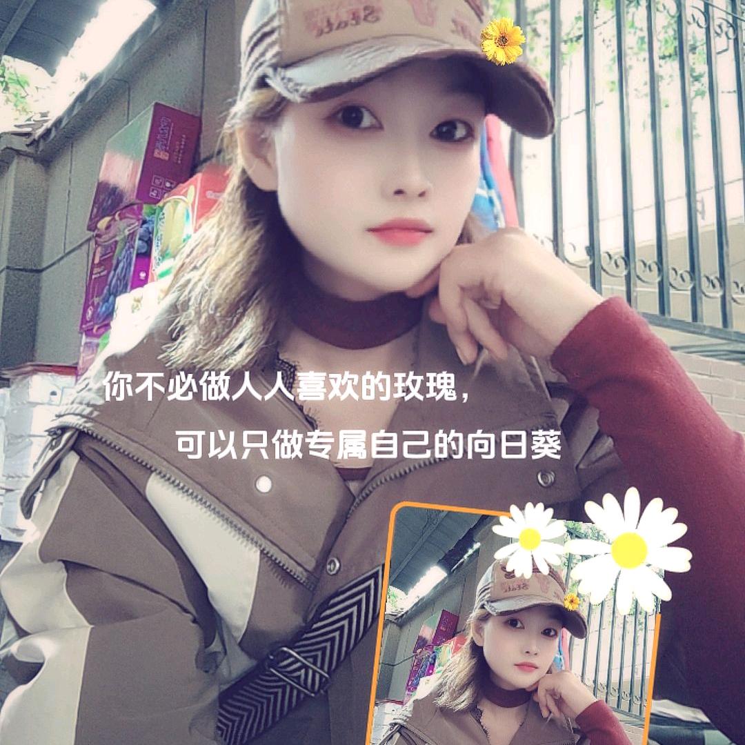 赵歌