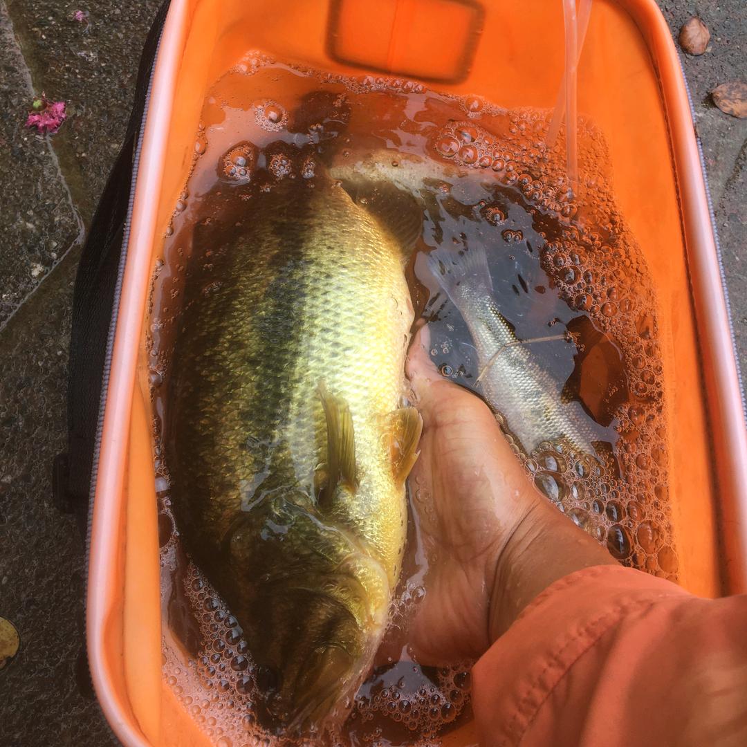 秋天的风