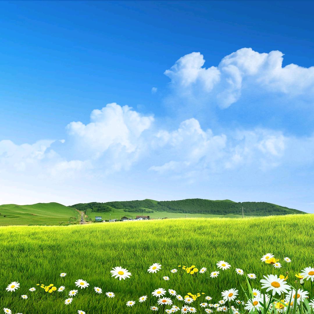 🌱萬事如意🌱